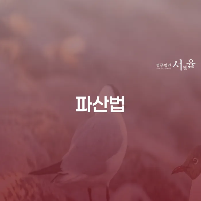 파산 추심 대응법 추천하는 변호사