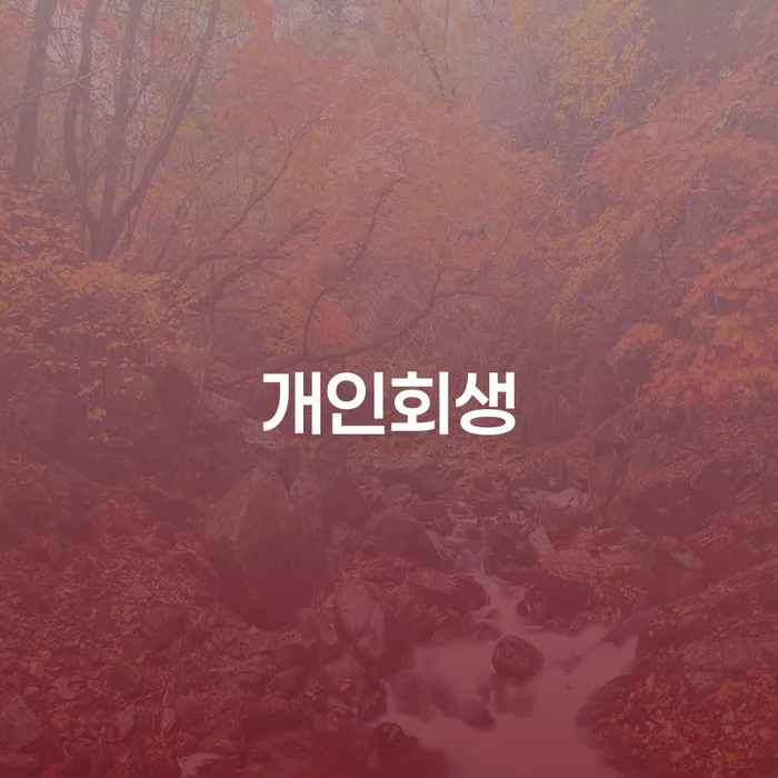개인회생변호사추천 대출 받은 돈채무조정 위험감소