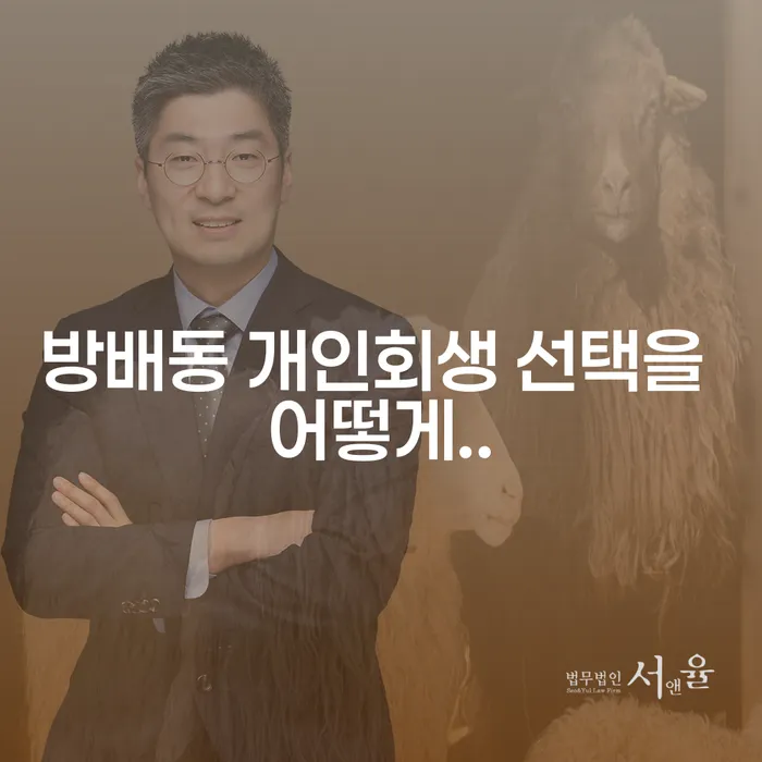 방배동 개인회생 선택을 어떻게..