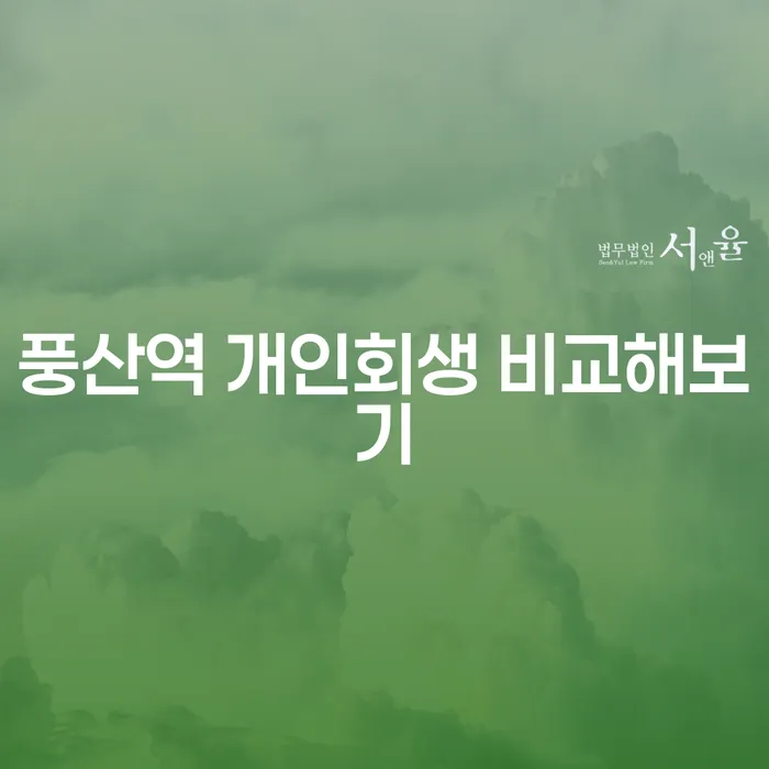 풍산역 개인회생 비교해보기