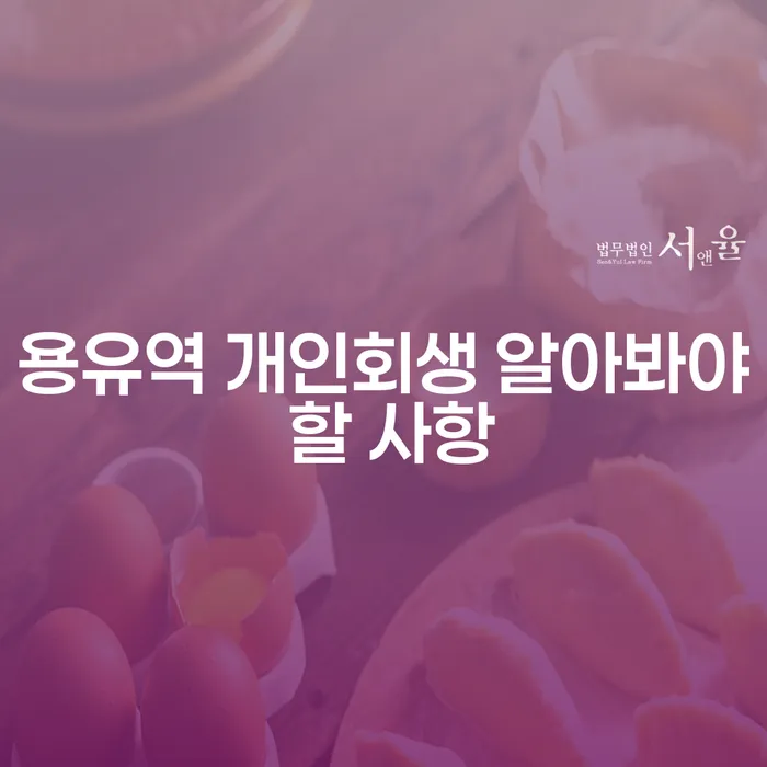 용유역 개인회생 알아봐야 할 사항