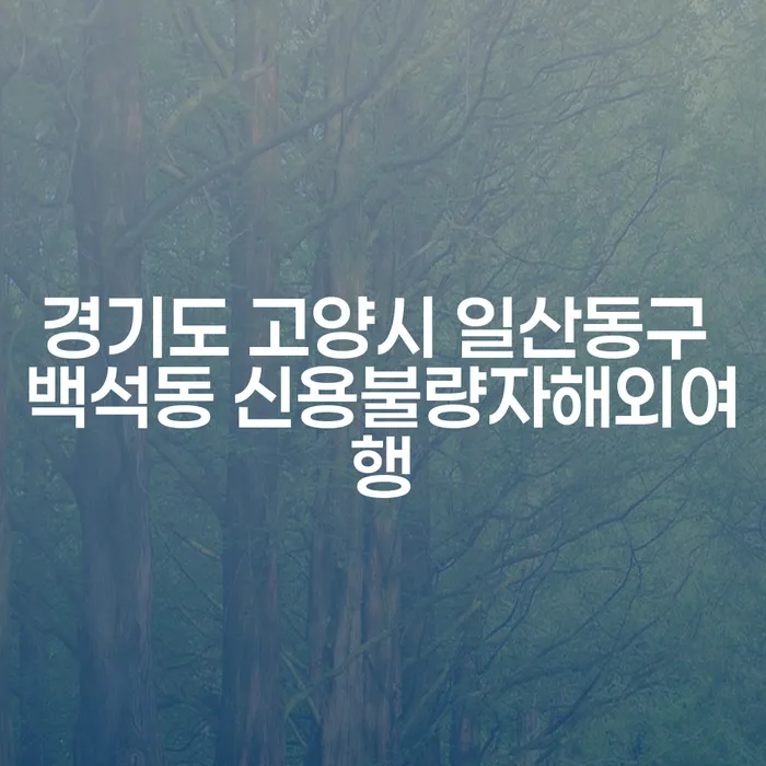경기도 고양시 일산동구 백석동 신용불량자, 해외여행이 가능한가?