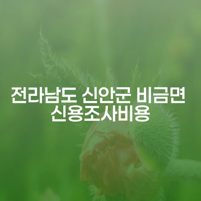 전라남도 신안군 비금면에서 신용조사비용을 아끼고 돈받아주는곳을 찾는 방법은?